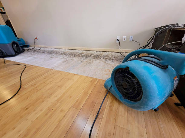 Professional Basement Flood Cleanup technician working in Cherry Hill, NJ